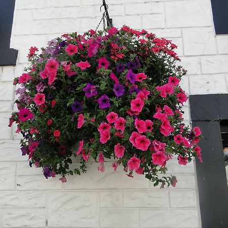 The Red Lion Inn Doune Exterior foto