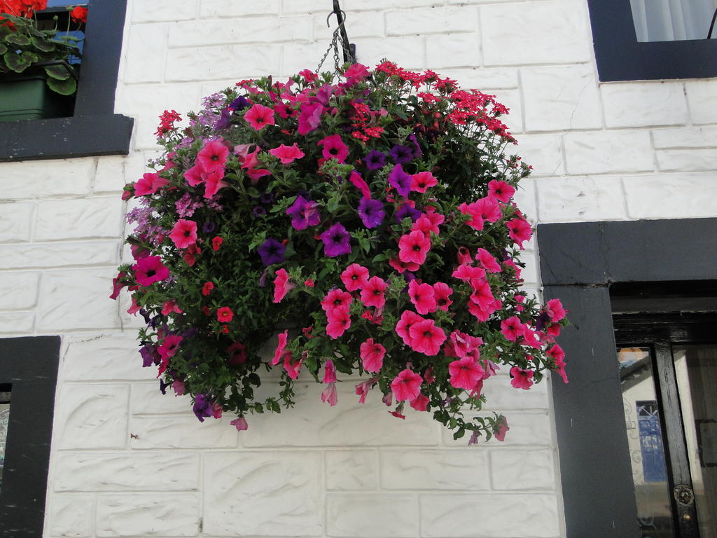 The Red Lion Inn Doune Exterior foto
